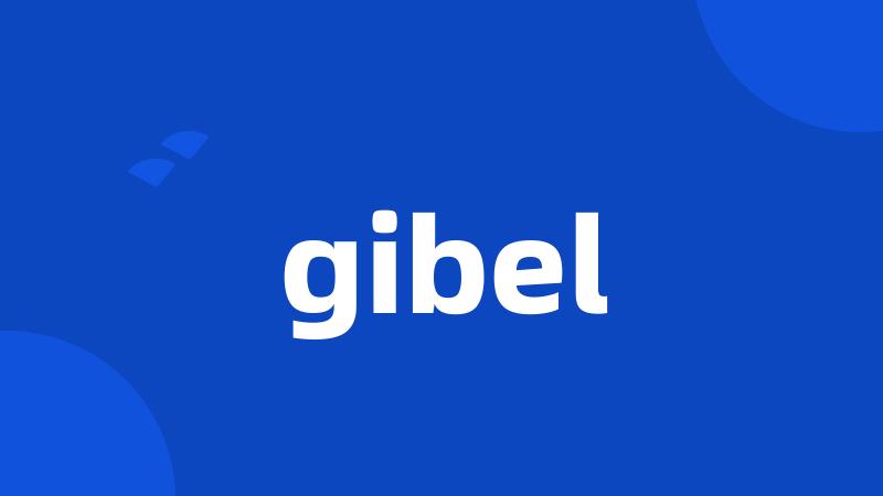 gibel