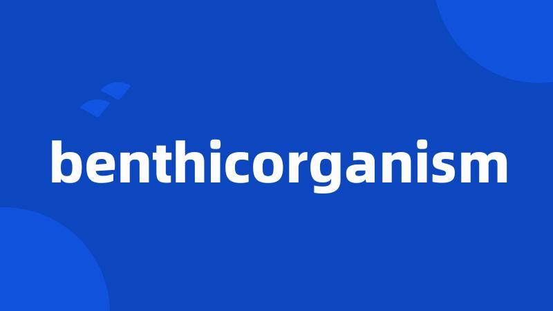 benthicorganism