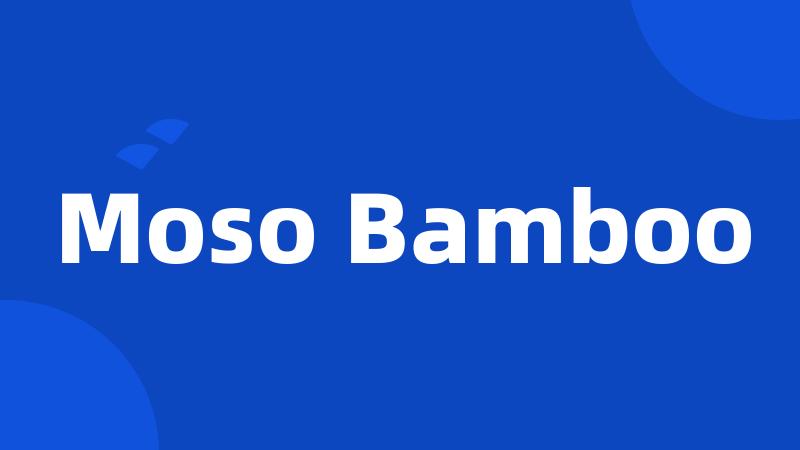 Moso Bamboo