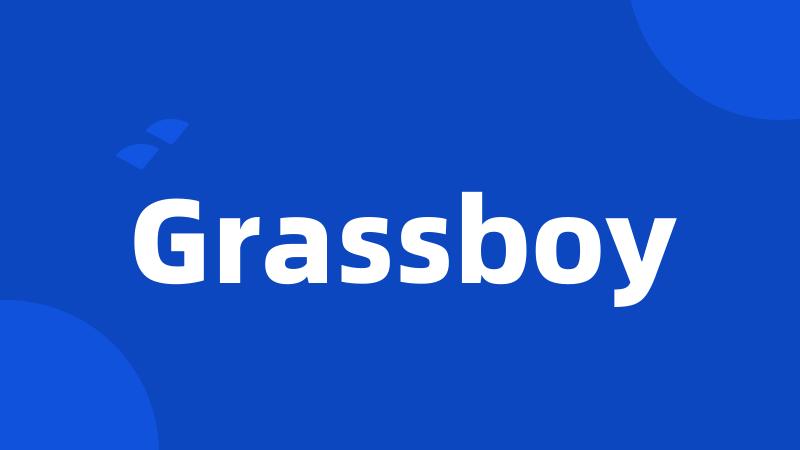 Grassboy