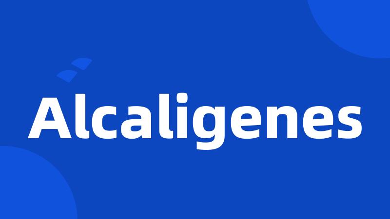 Alcaligenes