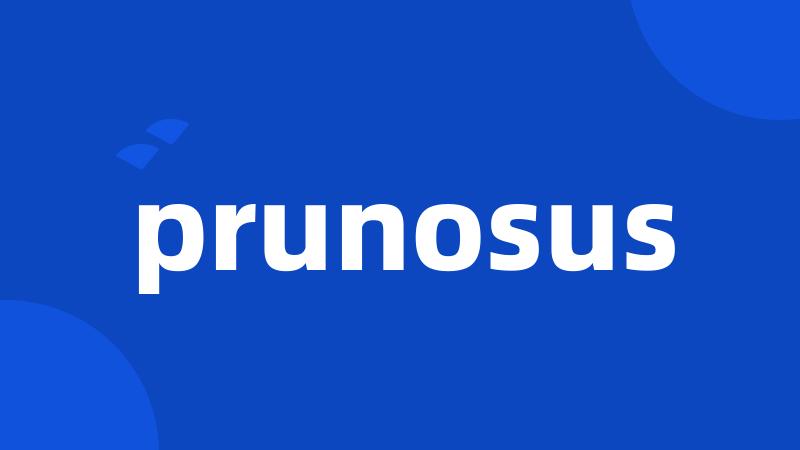 prunosus