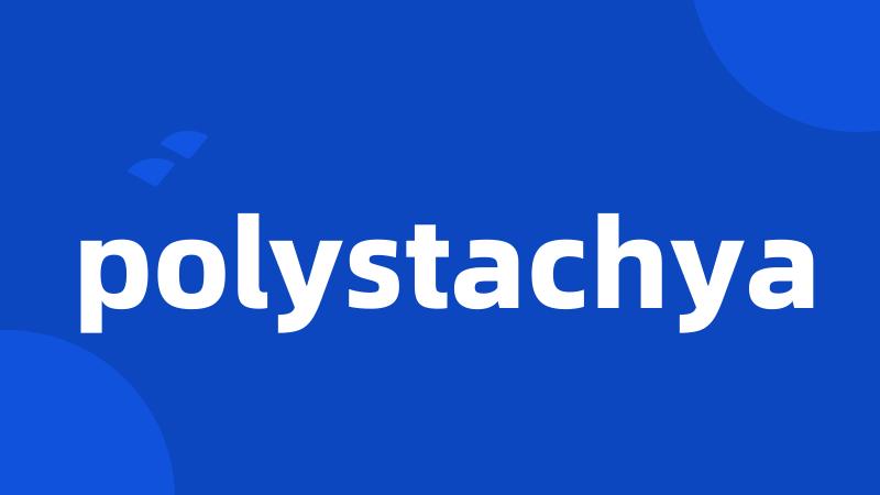 polystachya