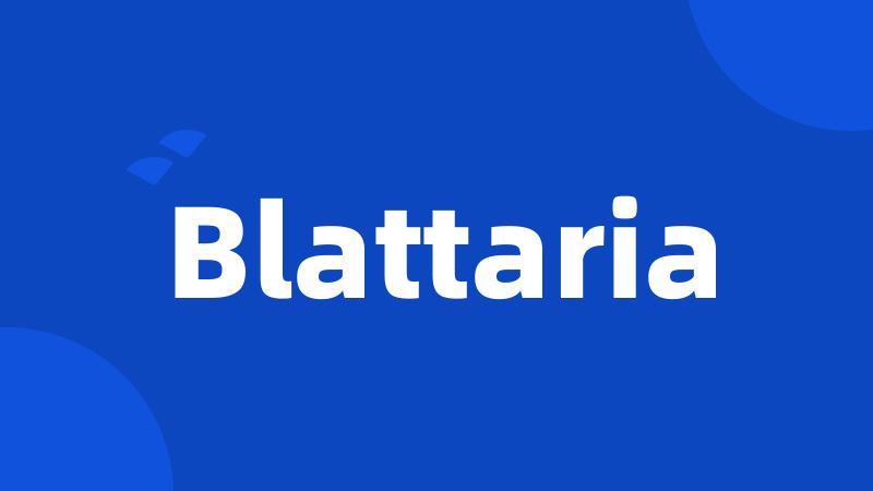 Blattaria