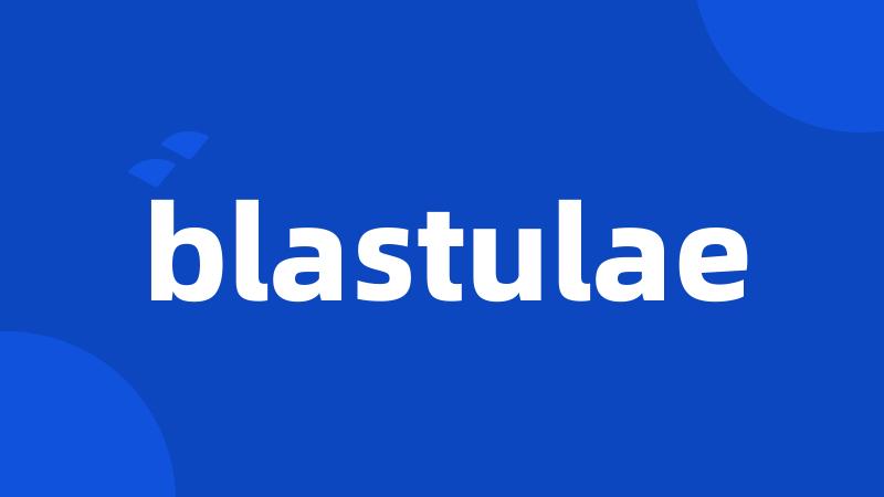 blastulae