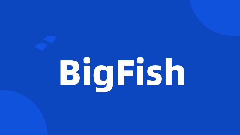 BigFish