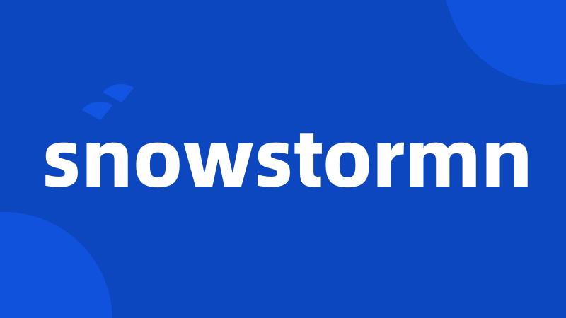 snowstormn