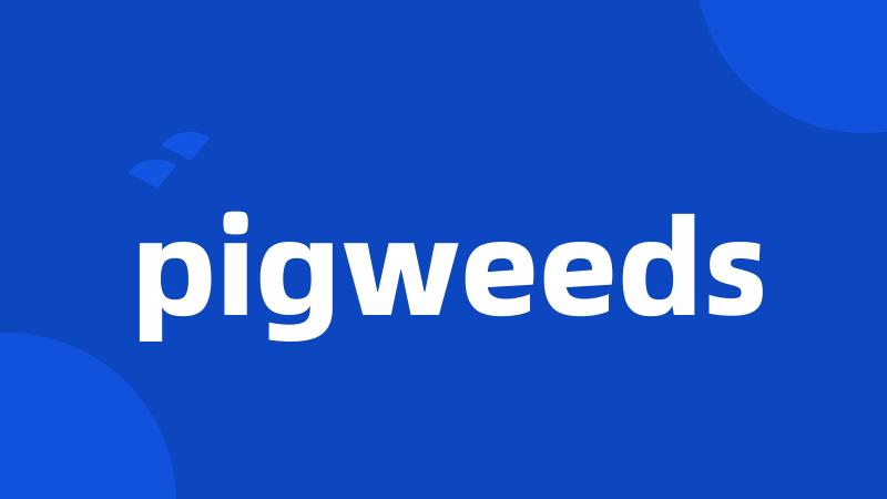 pigweeds