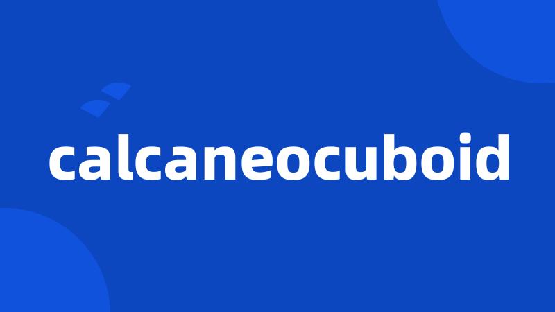 calcaneocuboid