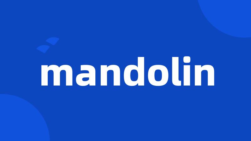 mandolin