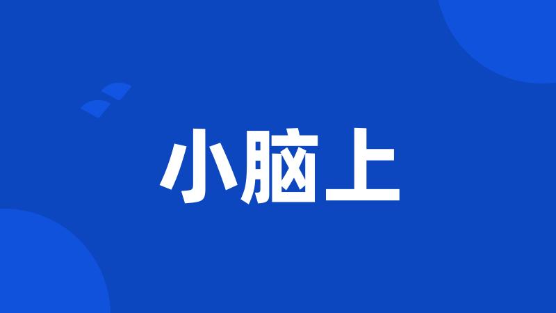 小脑上