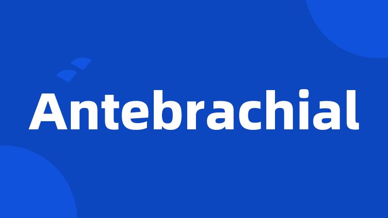 Antebrachial