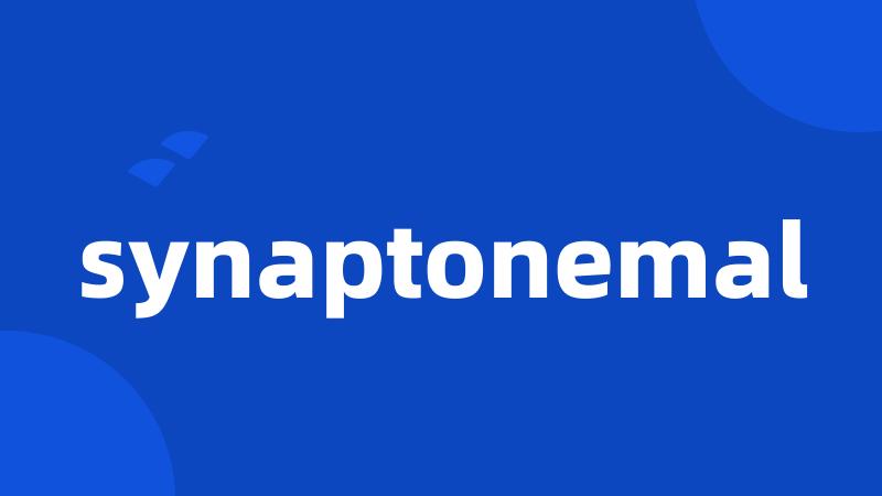 synaptonemal