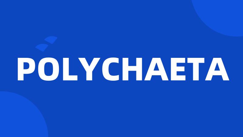 POLYCHAETA