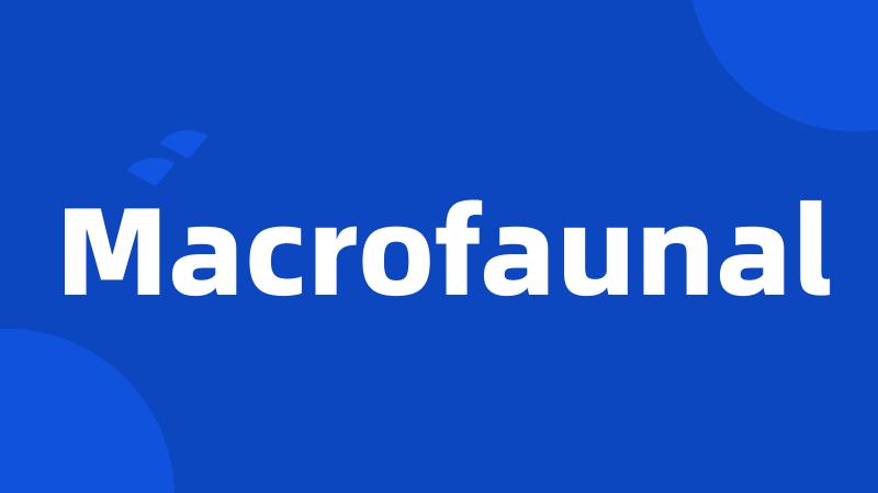 Macrofaunal