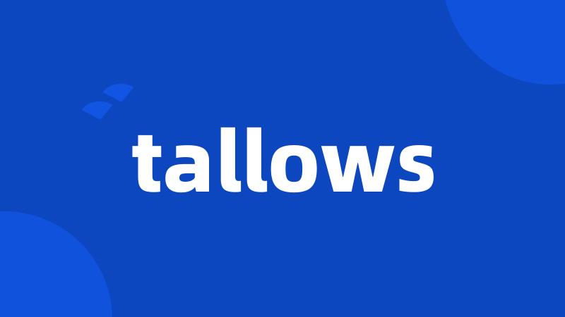 tallows