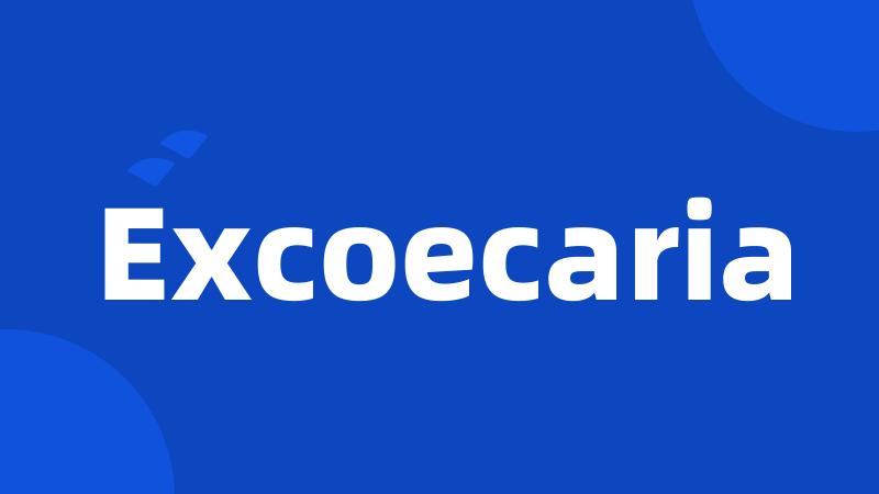 Excoecaria