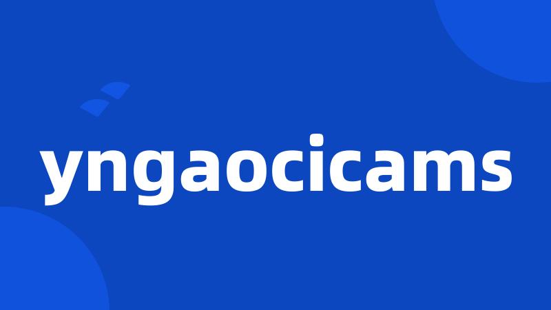 yngaocicams