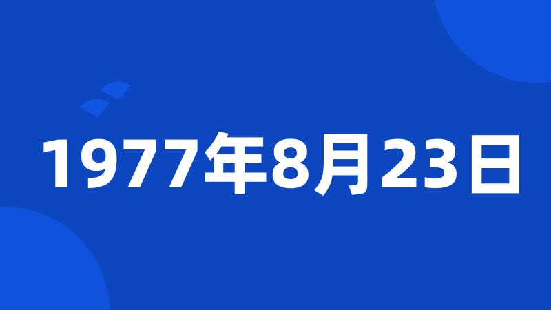 1977年8月23日