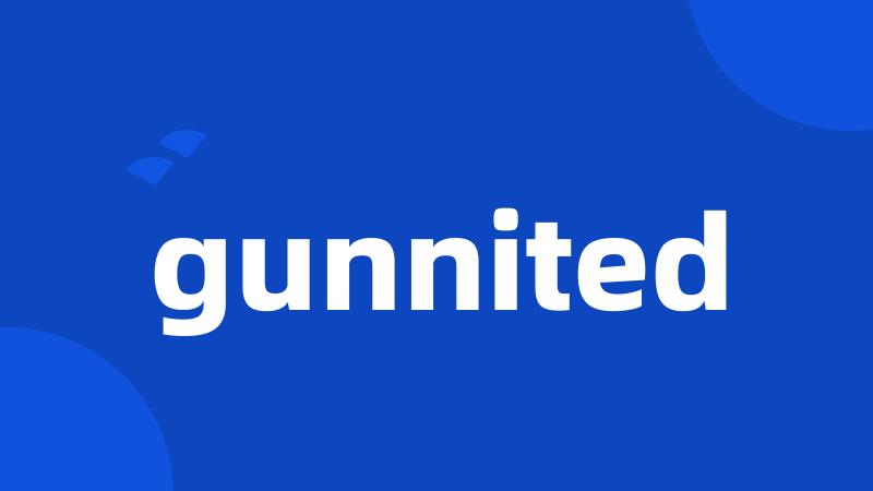 gunnited