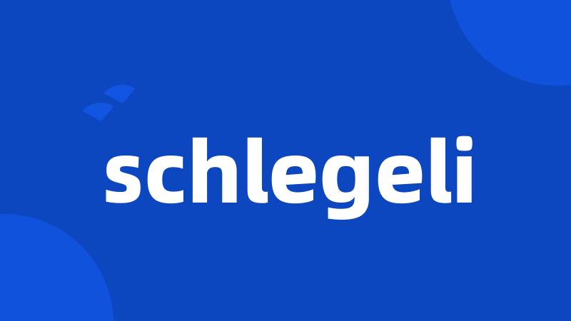 schlegeli