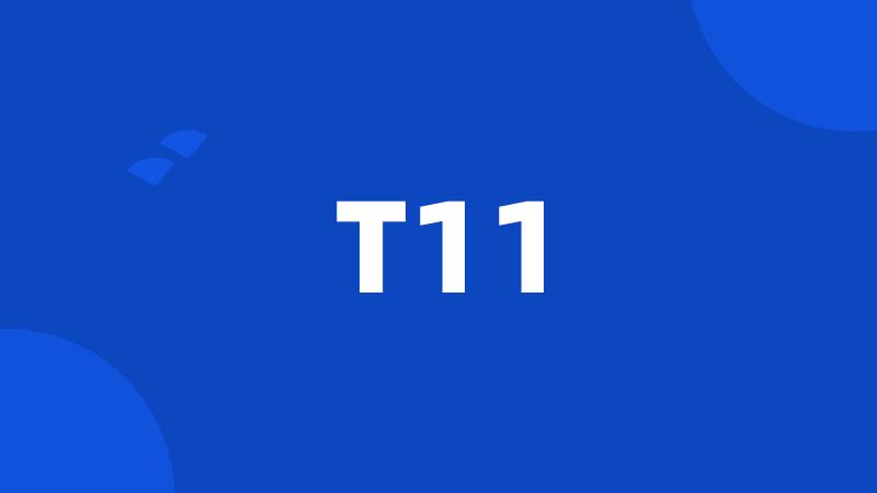 T11