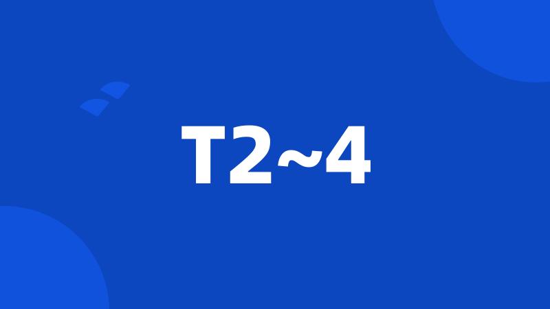 T2~4