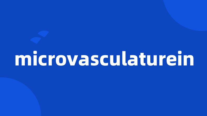 microvasculaturein