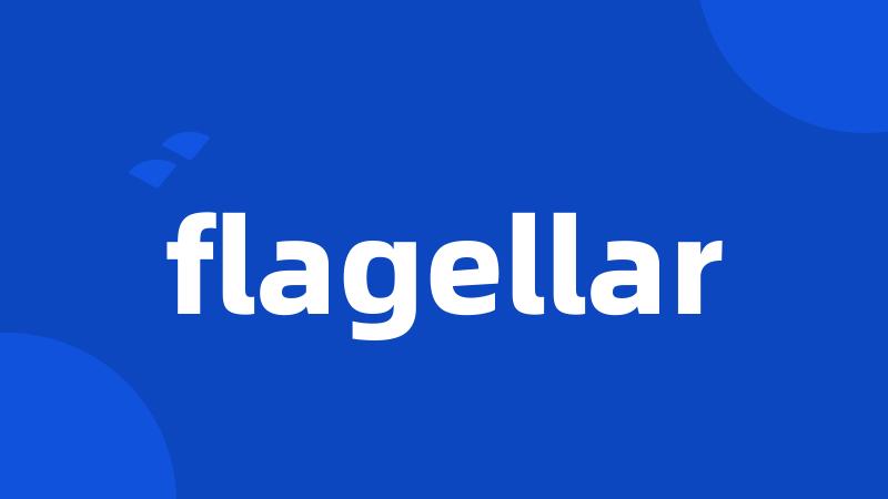 flagellar