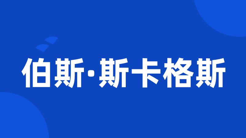 伯斯·斯卡格斯