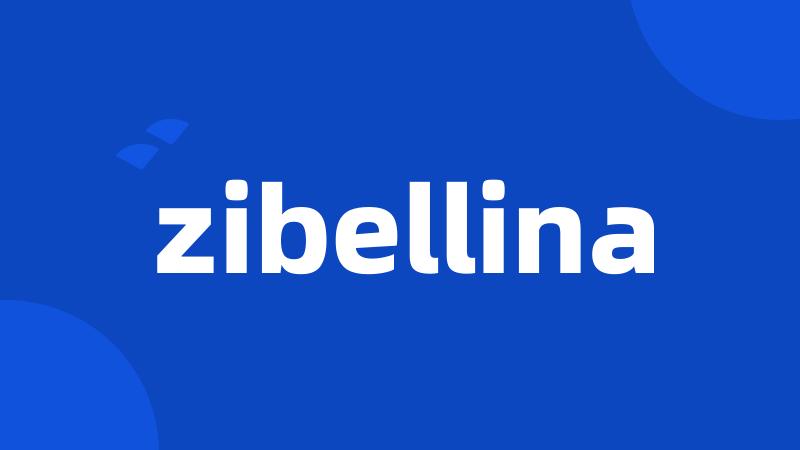 zibellina