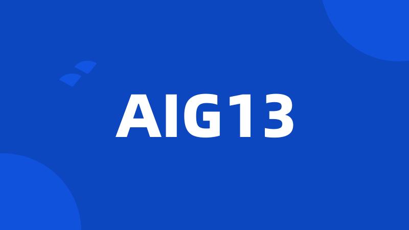 AIG13