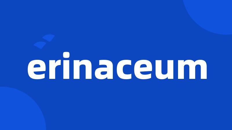 erinaceum