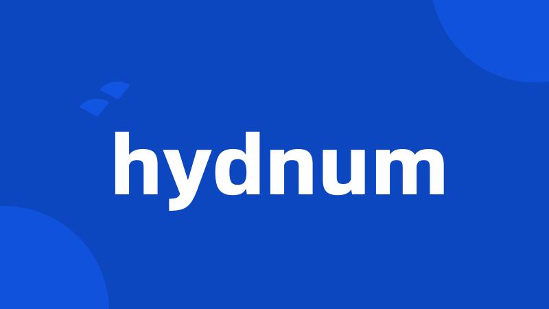 hydnum