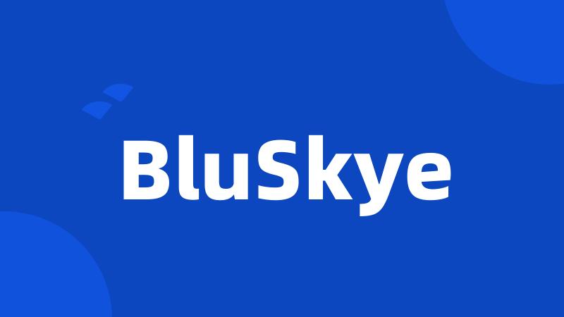 BluSkye