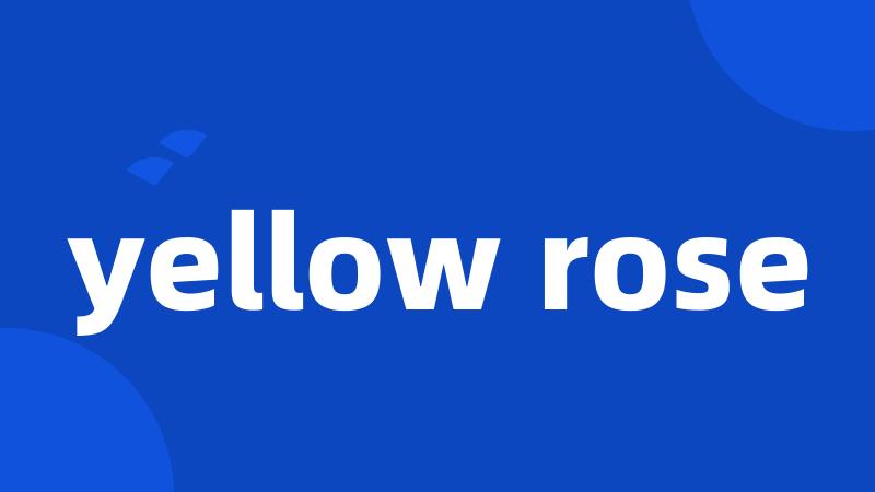 yellow rose