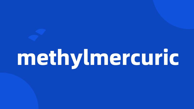 methylmercuric