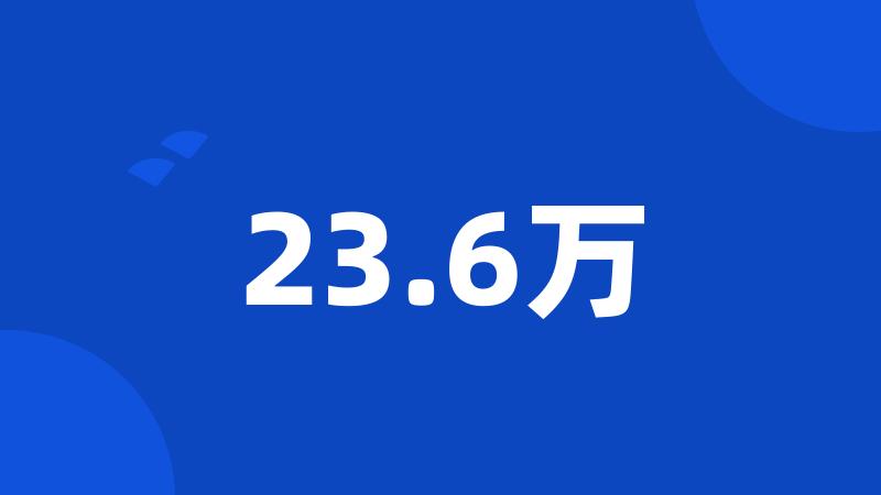 23.6万