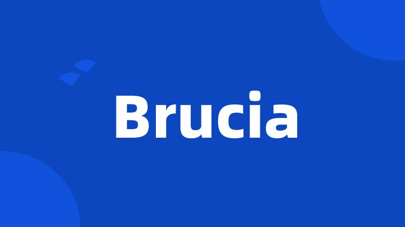 Brucia