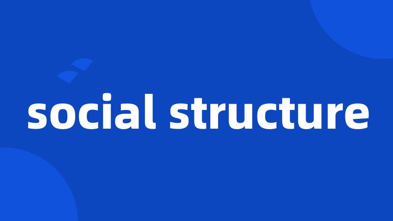 social structure