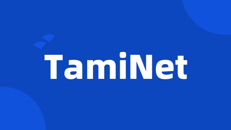 TamiNet