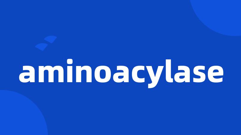 aminoacylase