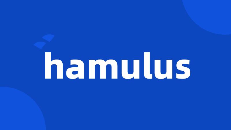 hamulus