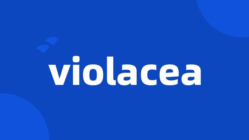 violacea