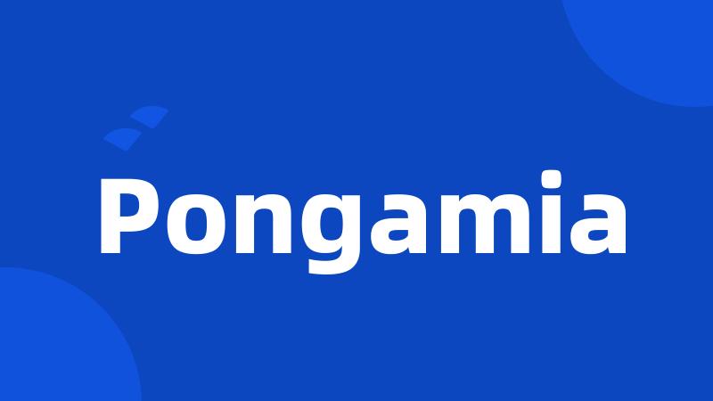 Pongamia