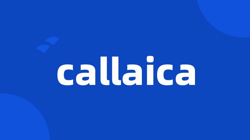 callaica