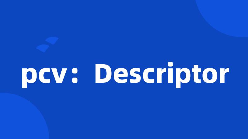 pcv：Descriptor