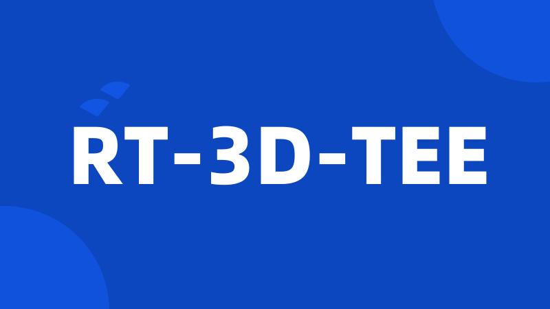 RT-3D-TEE