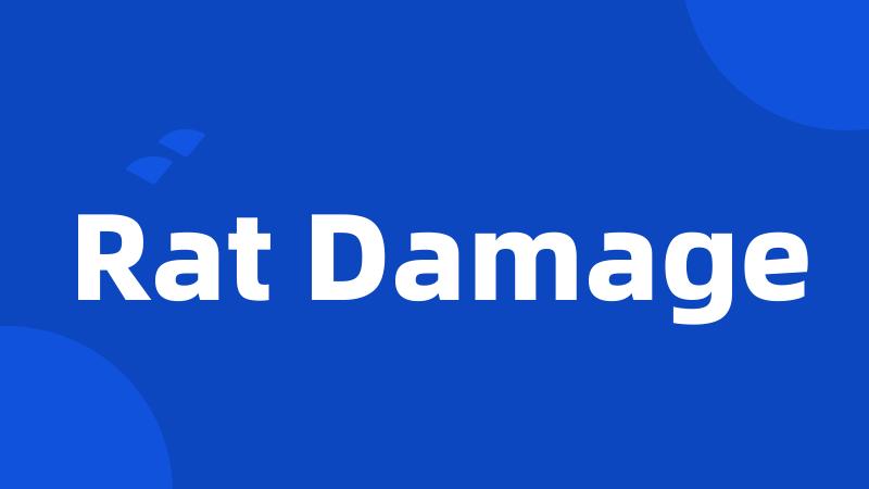 Rat Damage