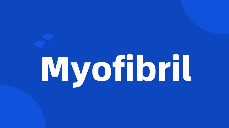 Myofibril